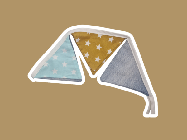 20251104_094842 (3) fanion