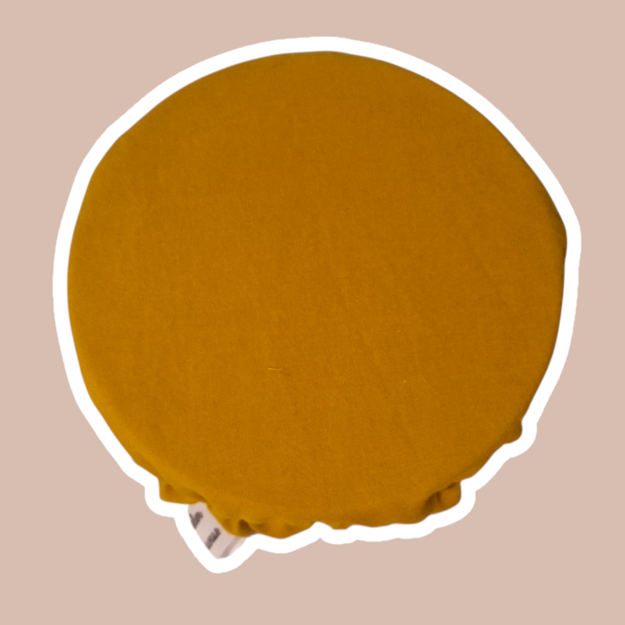 charlotte alimentaire