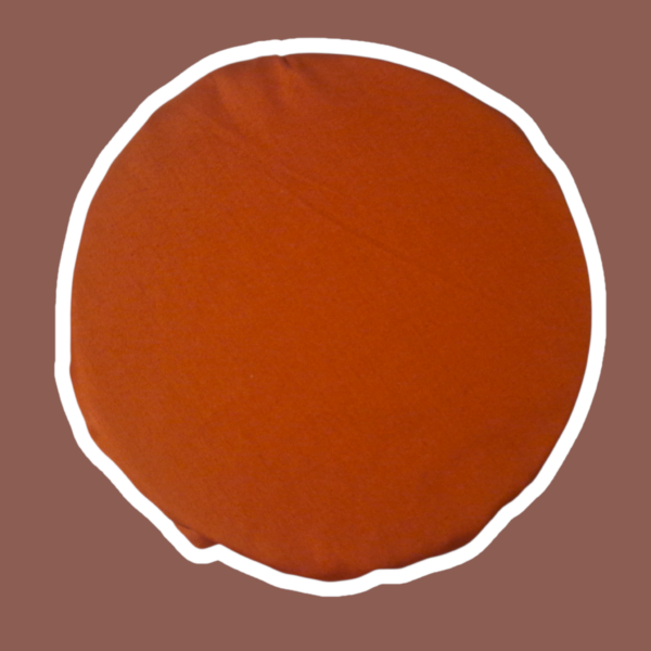 charlotte alimentaire